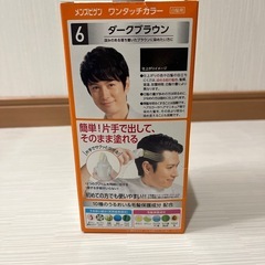  【交渉中】男性用白髪染め　 men's bigenの画像