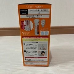  【交渉中】男性用白髪染め　 men's bigenの画像