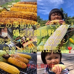 ⭐︎出展者様募集中⭐︎2024.10.20 『裏まるしぇ』毎月第3日曜日　開催⭐️ - 耶麻郡