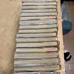 北乃きい主演ドラマ「ライフ」の漫画　すえのぶけいこ全巻の画像