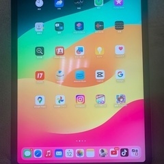 iPadPro11インチ第1世代WiFi＋セルラー256今日だけ掲載