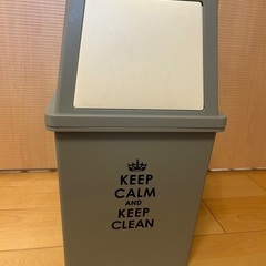 ゴミ箱　大きいサイズ
