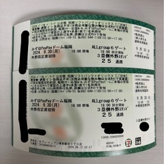 【9/24受け渡し予定】9/30 ホークスチケット