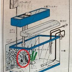 ■ 格安 観賞魚水槽用 水温計 未開封 送料込み350円の画像