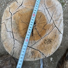 薪割り台　クス　いちょうの画像