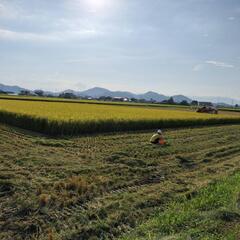 令和6年新米みずかがみ　5キロ