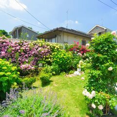 ☆ローズガーデナー募集☆お庭でバラ等ののお手入れをするお仕事です。の画像