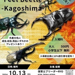 Feel Beetle -Kagoshima-