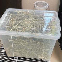 うさぎ飼育用品一式　バラ売り可の画像