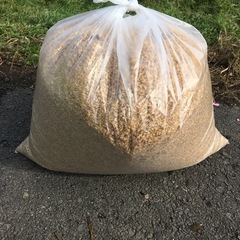 令和6年北海道産もみ殻　屋内保管　もみがら　籾殻
の画像