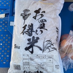5kg お米　精米　令和5年