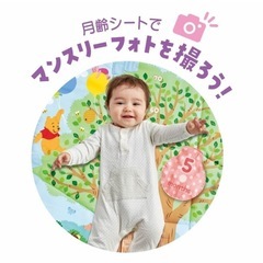 取引済【美品】くまのプーさんてあそびいっぱいおうちにへんしんジム知育玩具Disney babyの画像