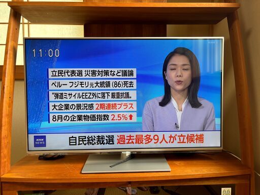 Panasonic ビエラ　THーL42E60＋Fire TV  stick