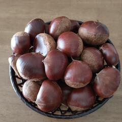 栗(大粒)　1kg