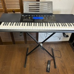 CASIO WK-245 ベーシックキーボード
