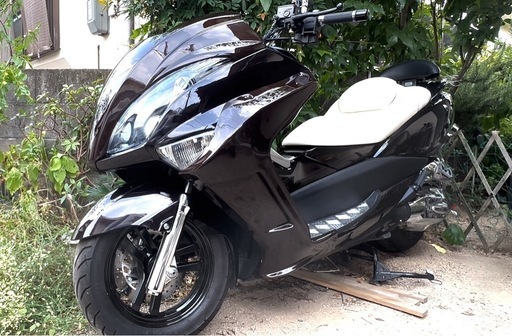 極上マジェスティ4D9前期まもなく削除