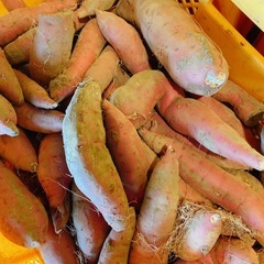 シルクスイート 1kg300円