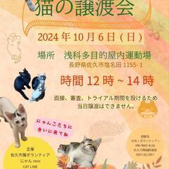猫の譲渡会　長野県佐久市