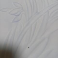 大皿の画像