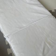 クーファン　あげますの画像
