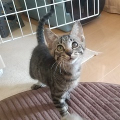 お話し中