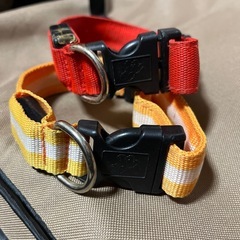 LED首輪