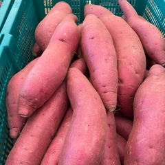 鳥取県　さつまいも　12キロ前後　新鮮　甘くて美味しい　期間限定品　お米の代わりにどうぞ！98の画像