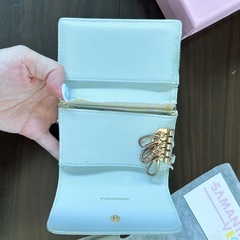 Samantha Vega 水色 キーケース　コインケースの画像