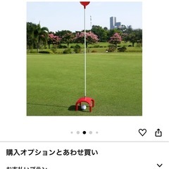 パター 練習 ポール
の画像