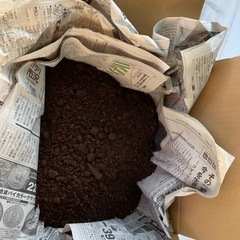 楽土〈西の画像