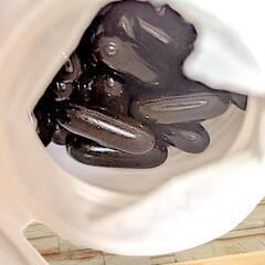 ブルーベリーサプリメント3ヶ月の画像