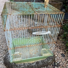 鳥かご