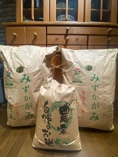 新米 伊賀県30kg 玄米 