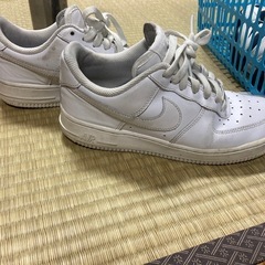 NIKE エアホースワンの画像