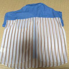 シャツ　レディースの画像