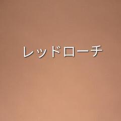 レッドローチ　爬虫類餌　どなたか助けて〜　