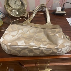 非常に高価 Coach bag の画像