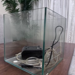 水槽25センチ