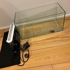 水槽　フィルター付きの画像