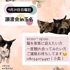 9月29日熊本県玉名市にて譲渡会😊❣️の画像