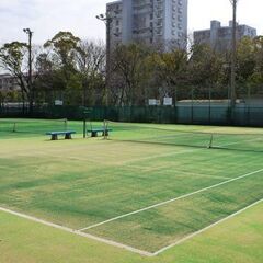 受付15時頃まで　24/9/13(金)硬式テニス一緒にできる方募...