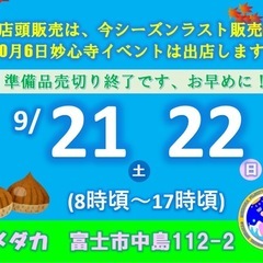  DGメダカ　メダカ　ミジンコ　めだか 