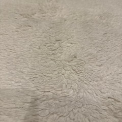 フランフランのラグ（アイボリー）の画像