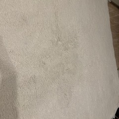 フランフランのラグ（アイボリー）の画像