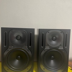 2個　ベリンガースピーカー　B2030A TRUTH