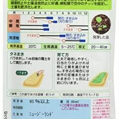 ホワイトクローバーの種🍀の画像