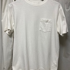 チャンピオン　Tシャツ　L