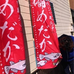 ９月１６日月曜日祝日めだか販売やりまーすの画像