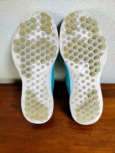 ◆24.5cm ナイキ アカマイ ゴルフシューズ NIKE AKAMAI 中古品