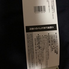 【有効期限有】【1名】ナガシマスパーランドチケットの画像